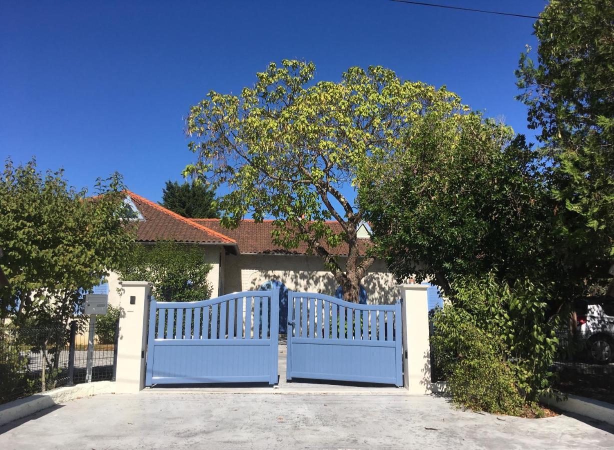 Chambres D'Hote Le Cedre Bleu Saint-Jean  Zewnętrze zdjęcie